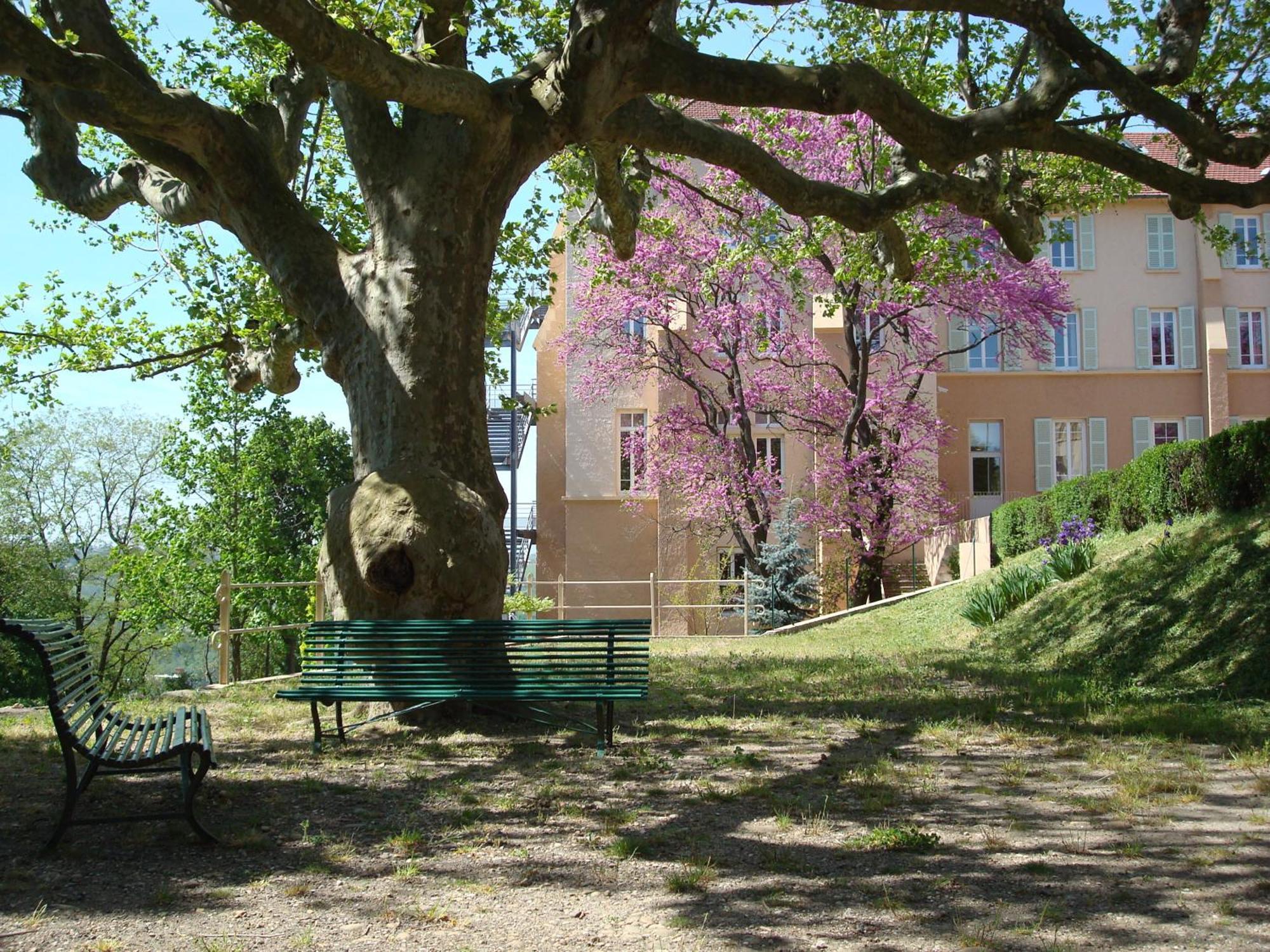 Domaine Lyon Saint Joseph Hotell Sainte-Foy-lès-Lyon Exteriör bild