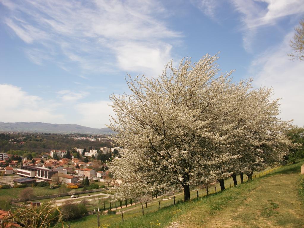 Domaine Lyon Saint Joseph Hotell Sainte-Foy-lès-Lyon Exteriör bild